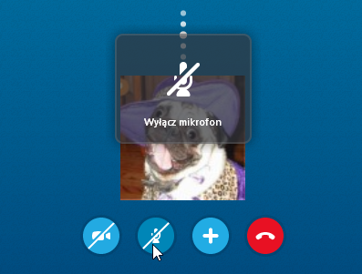 Skype - wyłączanie mikrofonu