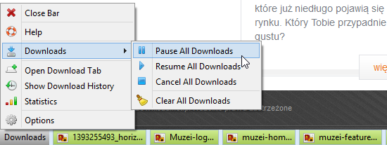 Opcja Downloads w Download Status Bar