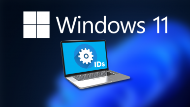 Jak znaleźć identyfikator sprzętu poszczególnych części komputera w systemie Windows 11.