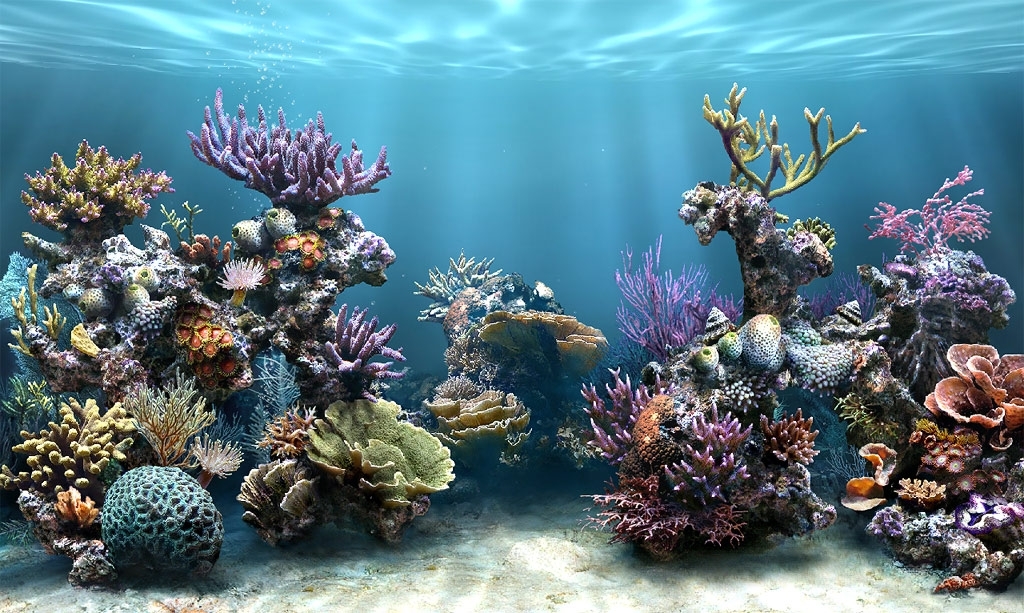 Simaquarium Free Screensaver Zmiana Wygladu Windows