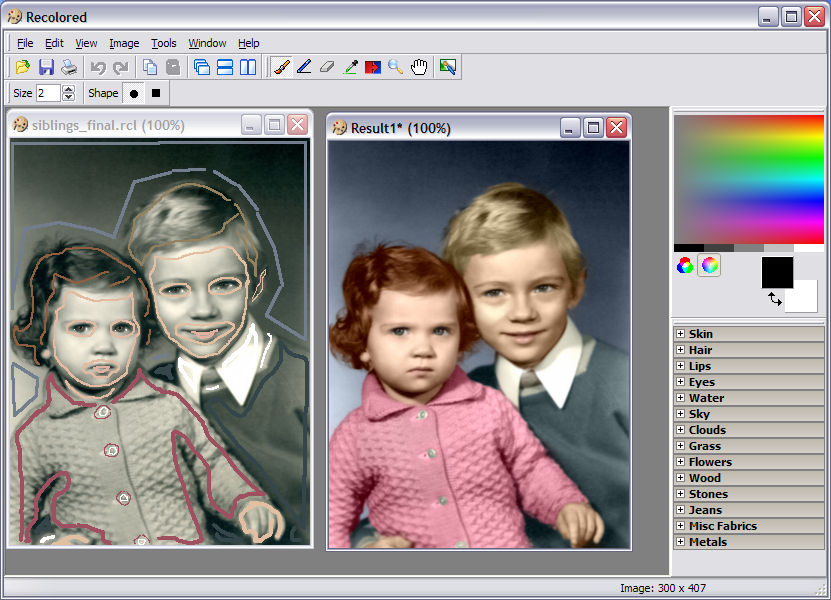 Recolored Programy Graficzne