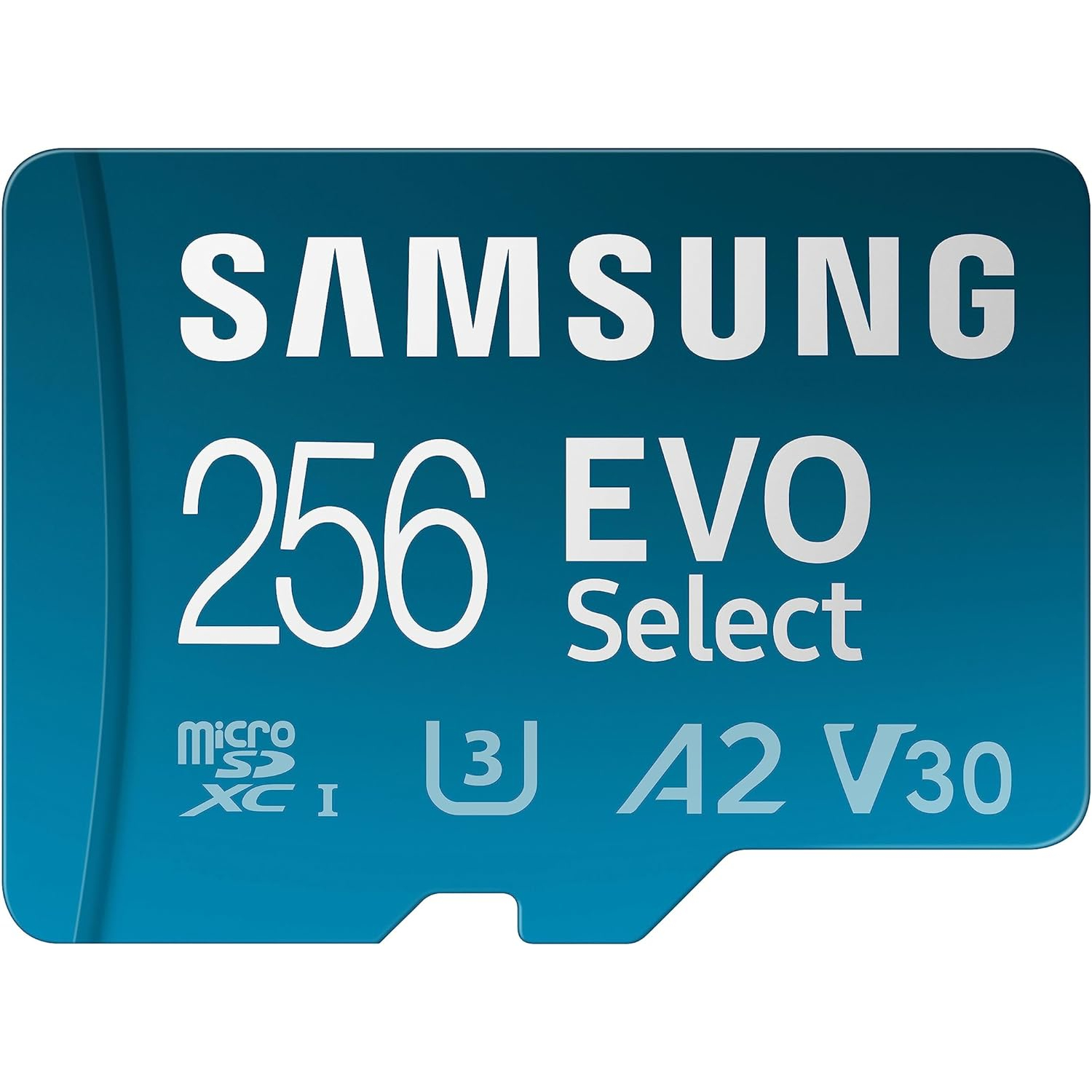 Samsung EVO Select mSD MB-ME256KA/EU, 256 GB