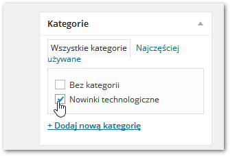 Edycja kategorii wpisu