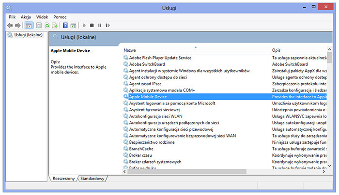 iTunes - okno usług w systemie Windows 8