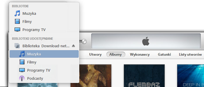 iTunes - widok udostępnionej biblioteki w sieci