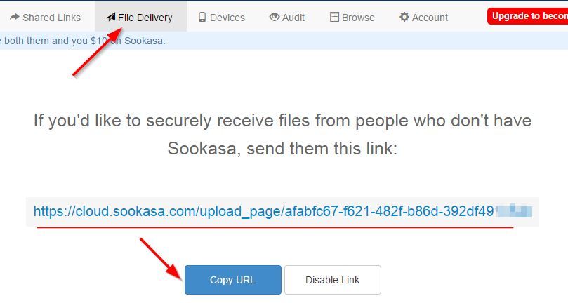 Zakładka File Delivery i link do udostępnionego folderu