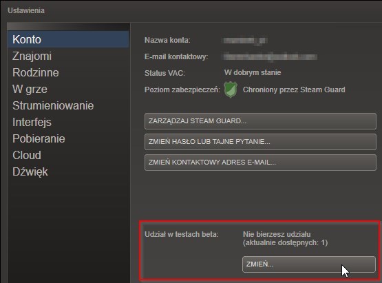 Aktywowanie dostępu do bety Steam