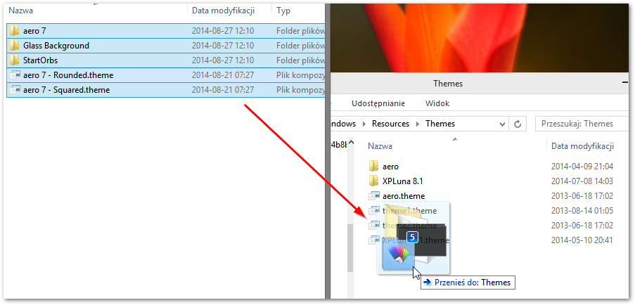 Przenoszenie plików skórki do folderu themes w systemie