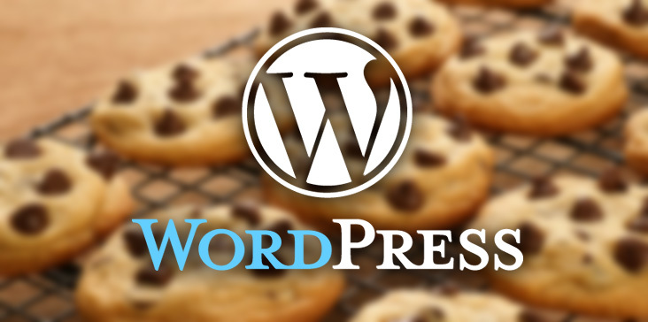 Wordpress - jak dodać informacje o ciasteczkach