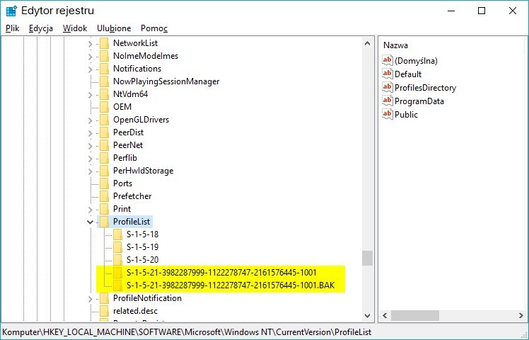 Zawartość klucza ProfileList