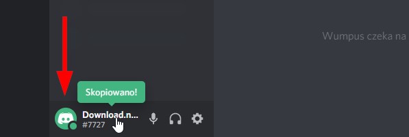 Discord - skopiuj swoje dane