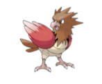 Spearow