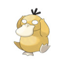 Psyduck