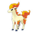 Ponyta