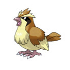 Pidgey