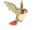 Pidgeot