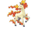 Rapidash