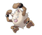 Primeape