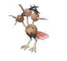 Dodrio