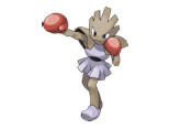 Hitmonchan