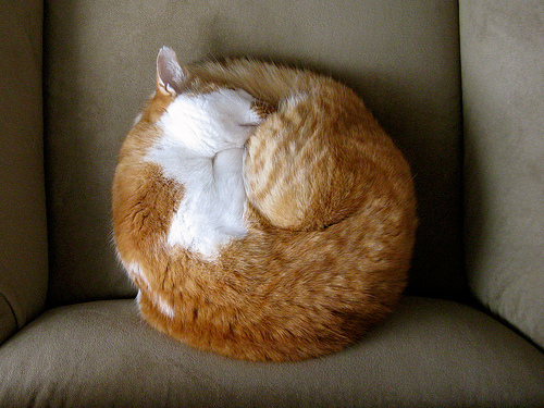 Firefox