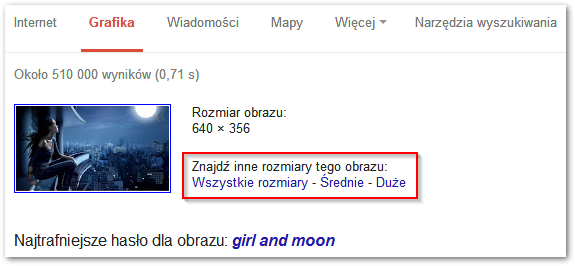 Wyniki wyszukiwania obrazem