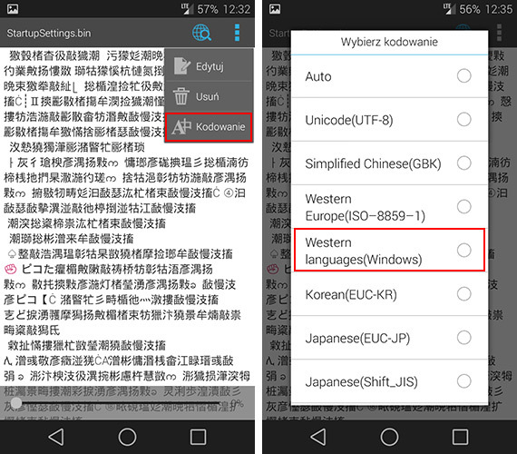 Zmiana kodowania pliku StartupSettings.bin