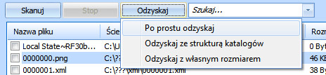 Odzyskiwanie w Puran File Recovery